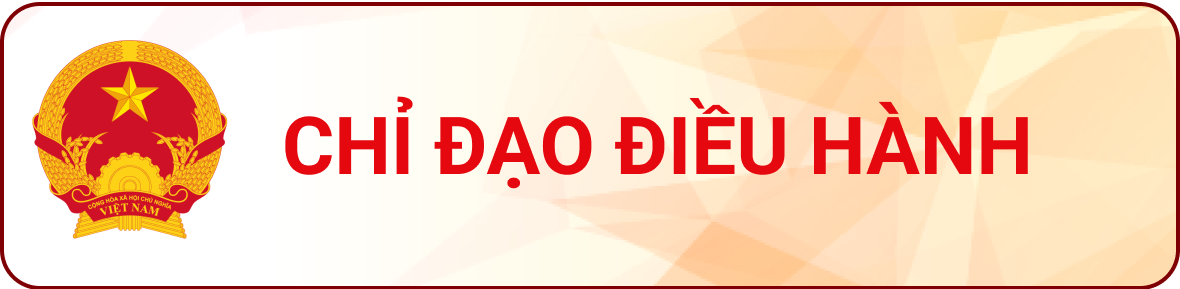 Chỉ đạo điều hành